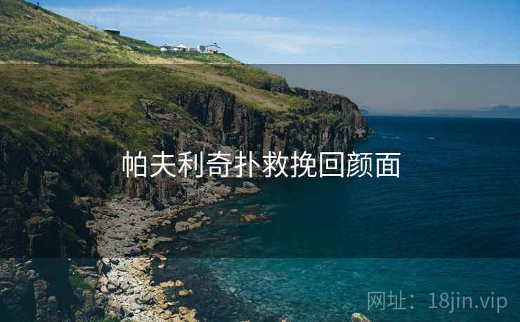帕夫利奇扑救挽回颜面