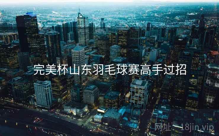 完美杯山东羽毛球赛高手过招