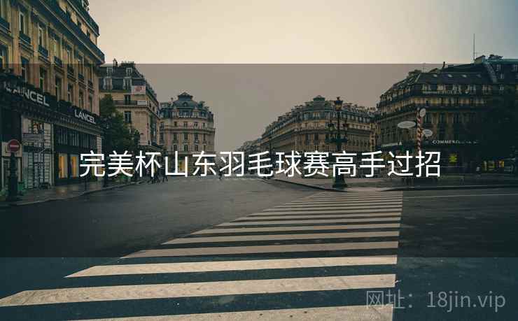 完美杯山东羽毛球赛高手过招